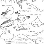 深海魚塗り絵1