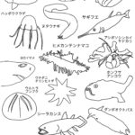 深海魚塗り絵2