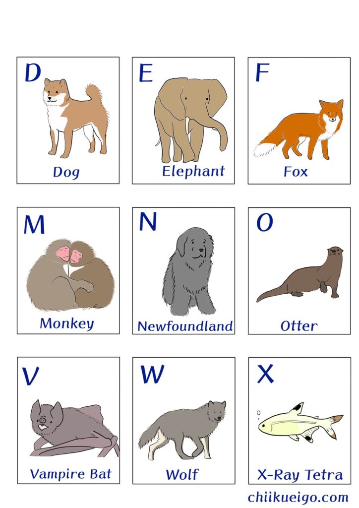 Alphabet animal