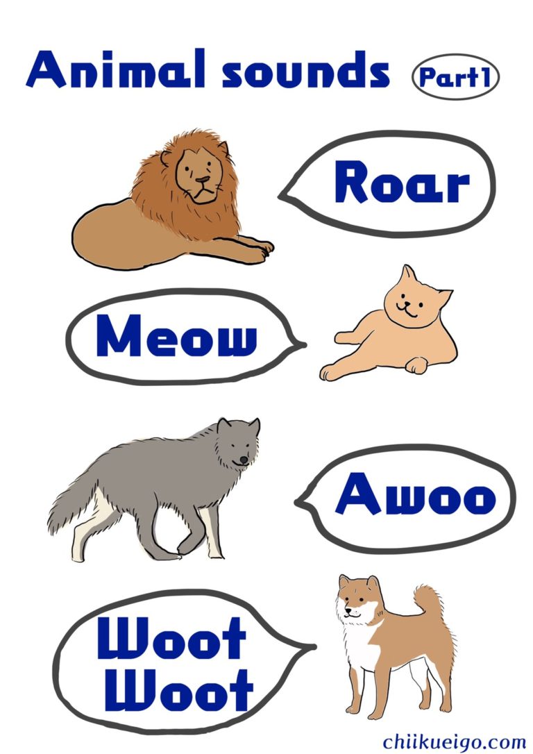 動物の鳴き声英語で言える？英語ポスターで日本語との違いを感じよう｜センス・オブ・ワンダー